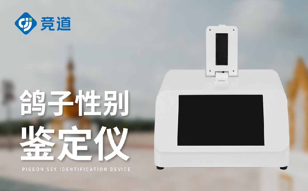 鸽子性别球盟会最新官网