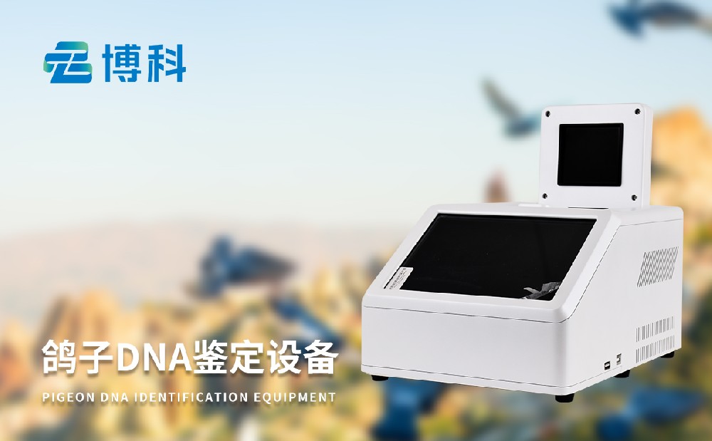鸽子dna球盟会最新官网器
