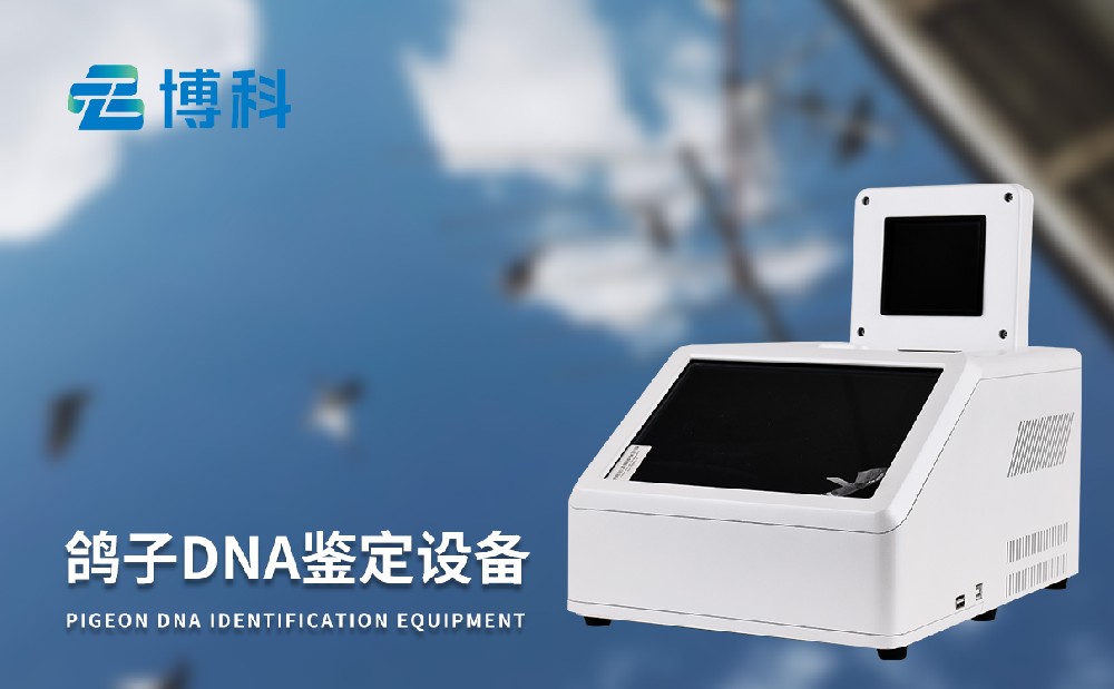 鸽子dna球盟会最新官网器